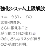 強化システム上限解放