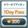 1Day Pass 300