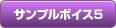 サンプルボイス5